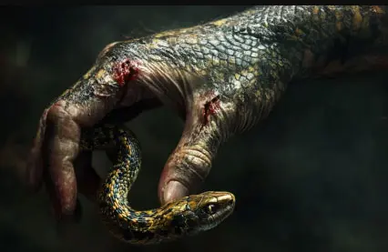 Dream of a Snake Bite on Hand in Hinduism 